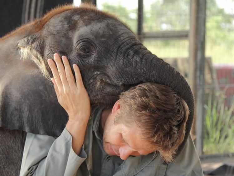 Film Naledi pokazuje niezwykłą bliskość opiekunów i małego słonika.