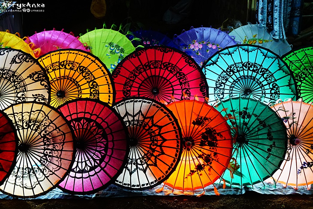 Birmańskie parasole - akurat dla nich warto stracić głowę (i trochę pieniędzy!)