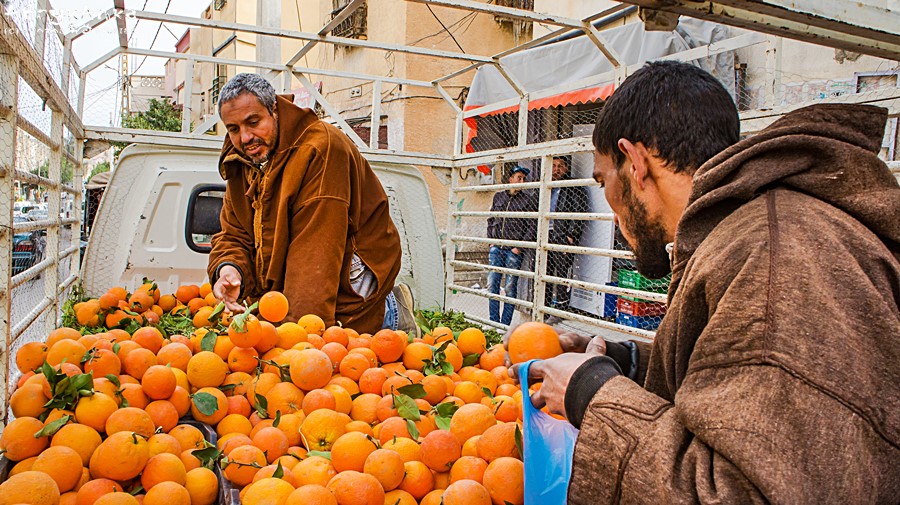 Sprzedawcy pomarańczy w Oazie.