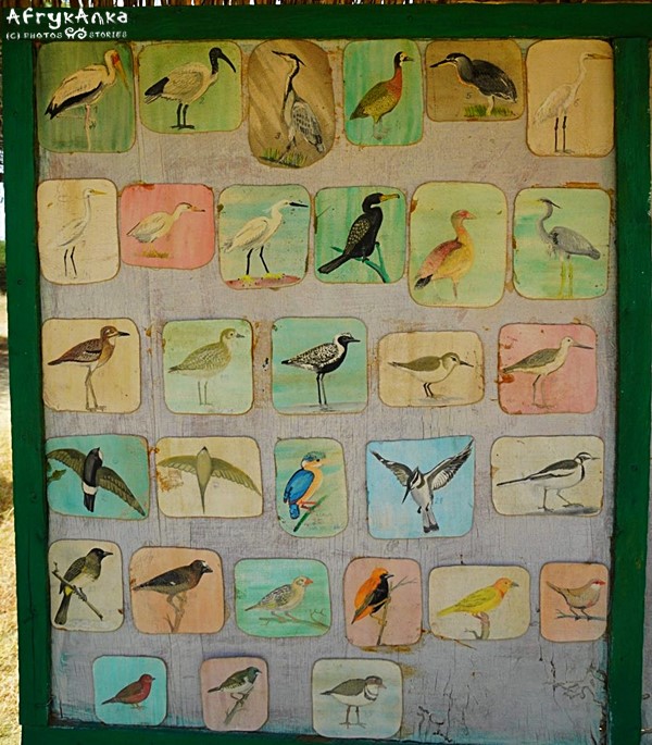 Tablica z ptakami występującymi w Nguuni.