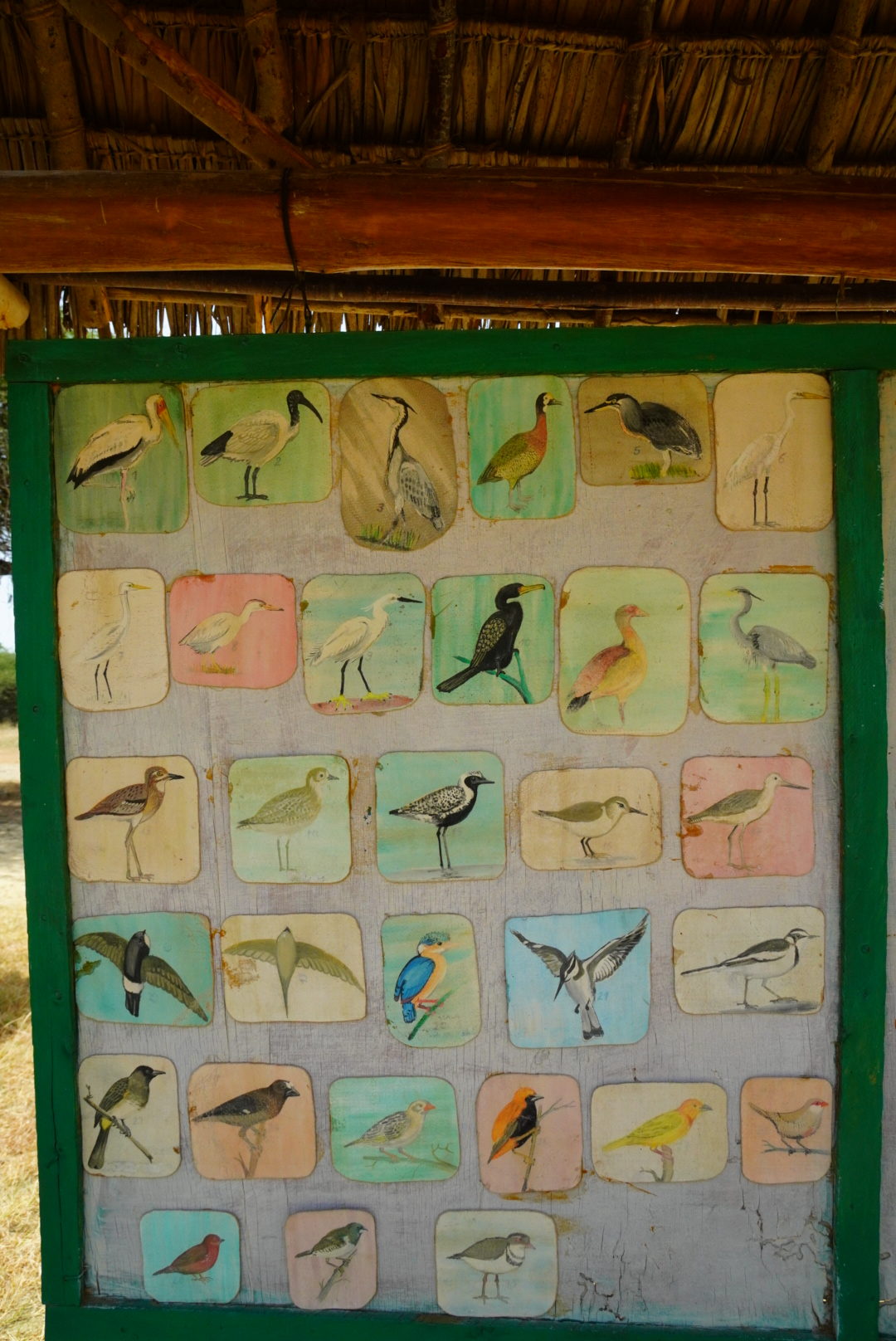 Tablica z ptakami występującymi w Nguuni.