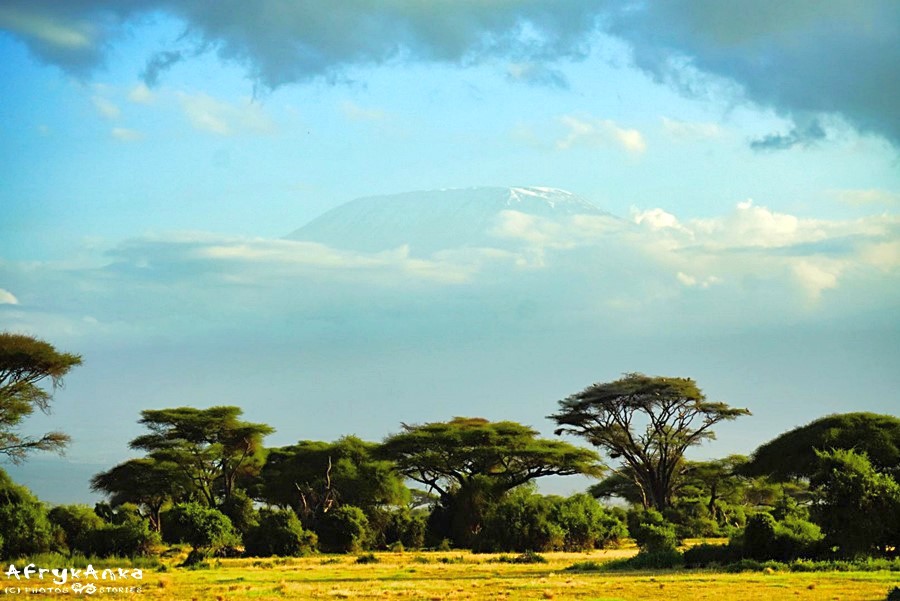 Nie zawsze udaje się zobaczyć Kilimandżaro!
