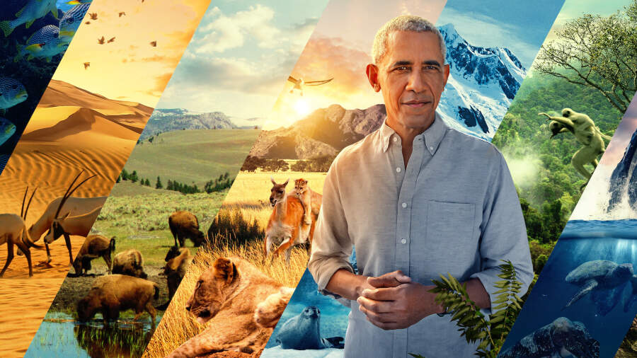 Prezydent Barack Obama jest narratorem w serialu.
