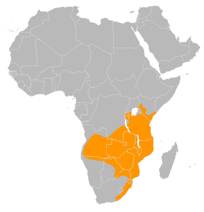 Zasięg występowania dzioborożca kafryjskiego. Źródło: Wikipedia / Netzach - Praca własna, CC BY-SA 4.0