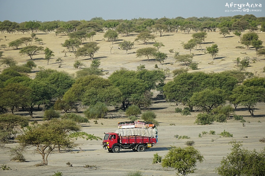 "Sahara express" - auta wiozące towary na gigantyczne odległości.
