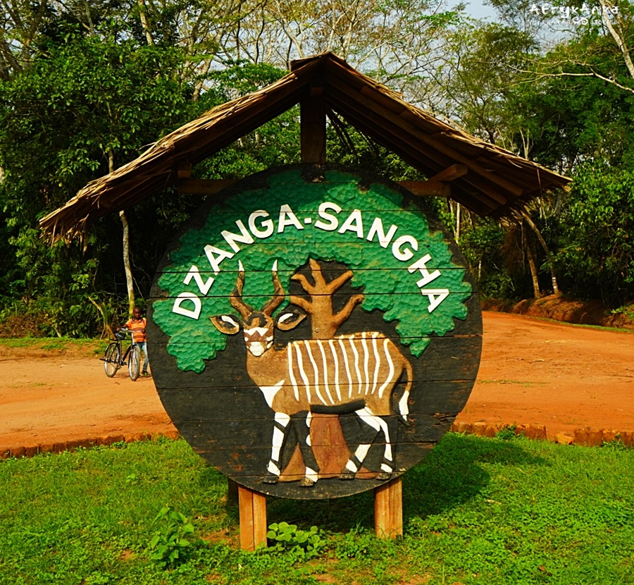 W logo parku jest bongo leśne.