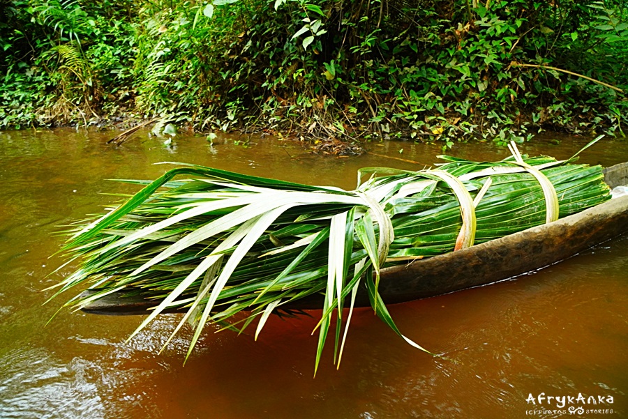 Liście palm: ekologiczne i najłatwiej dostępne.