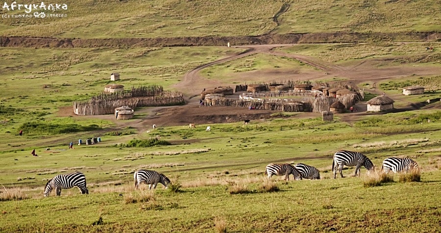 Jedna z wielu wiosek Masajów między Ngorongoro a Serengeti.