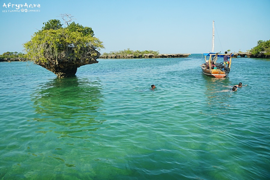 Zatoka koralowców i mangrowców.
