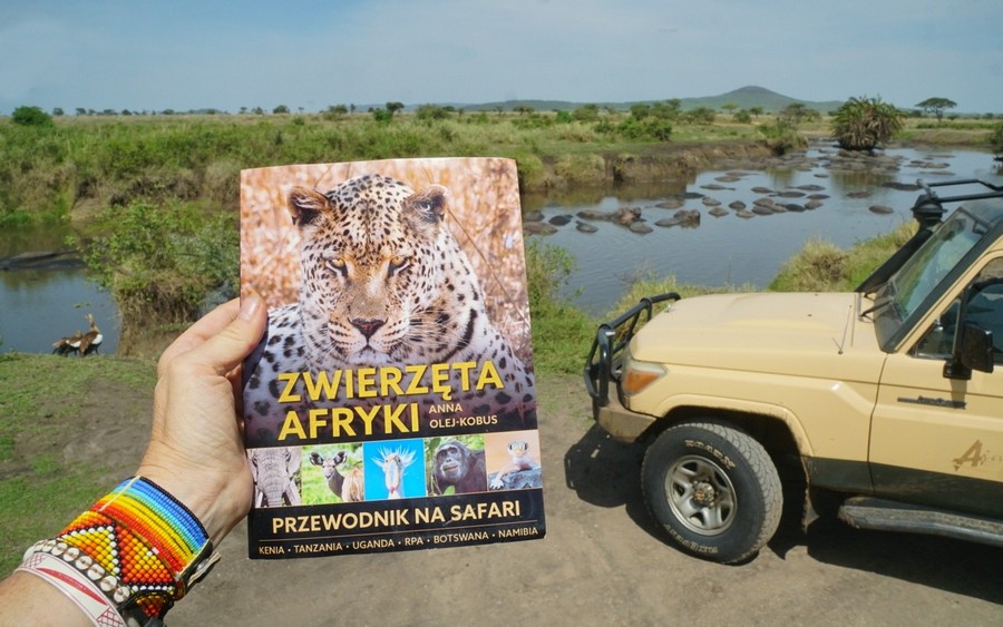 "Zwierzęta Afryki. Przewodnik na safari" - przyda się na każdym wyjeździe!