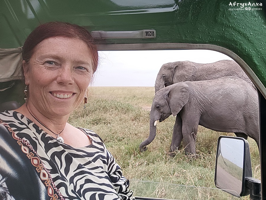 Słonie obok auta - kocham takie spotknia!