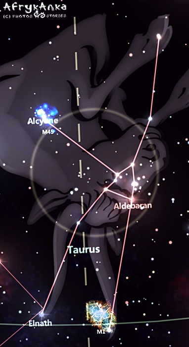 Byk (Taurus) - ten układ gwiazd mi przypomina oryksa.