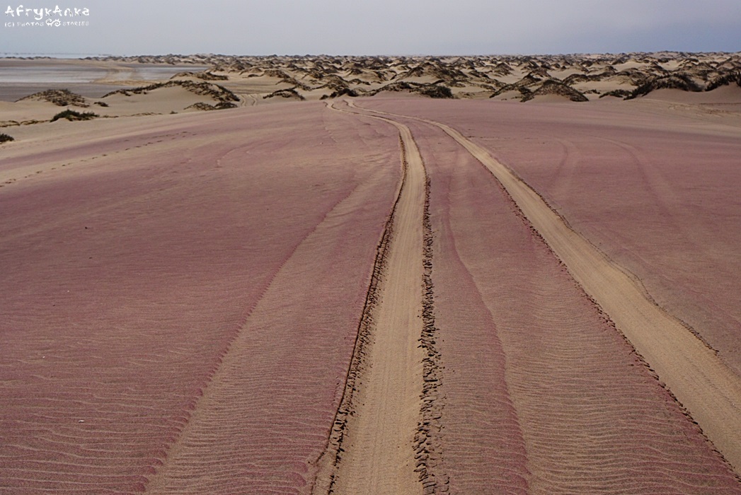Niekiedy piasek ma zaskakujący kolor.