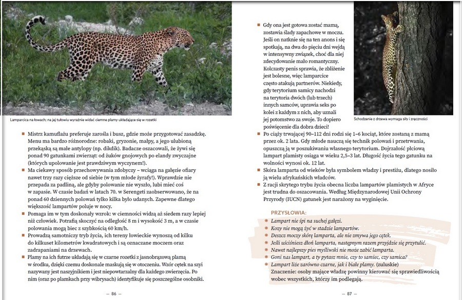 "Zwierzęta Afryki. Przewodnik na safari" - LAMPARTY - kilknij i pobierz rozdział w PDF.