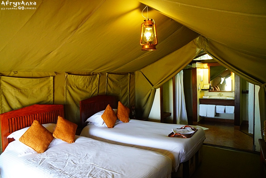 Namiot typu safari - z łazienką.